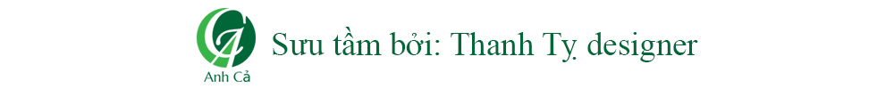 sưu tầm bởi Thanh Tỵ designer